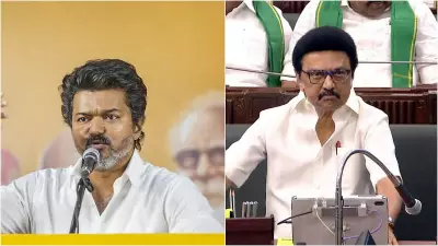 Stalin questions Vijay's Delhi visit amid Karur CBI case scrutiny