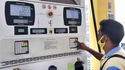 State-run oil firms indispensable despite privatisation bids