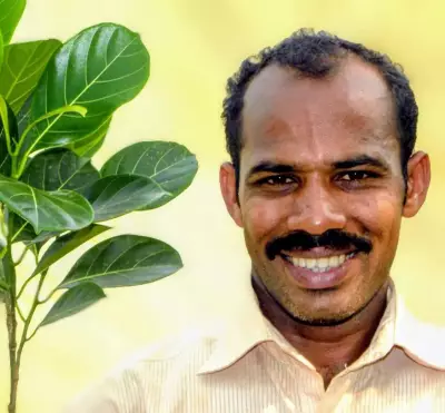 Sullia festival to conserve rare jackfruit varieties with free grafting