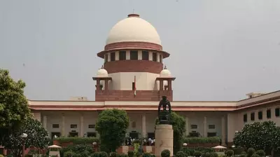 Supreme Court Hands Over Elephant Raman's Custody to Kerala Govt