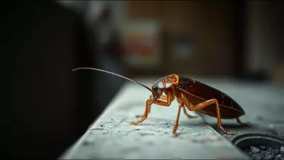 Swahili Proverb: Stop Scratching the Cockroach's Scars — Wisdom on Moving On