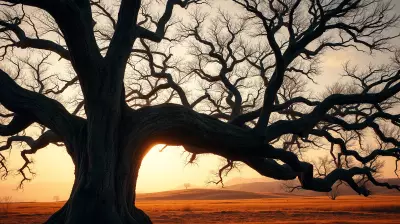 The Tree That Owns Itself: A 190-Year-Old Legal Mystery in Athens, Georgia