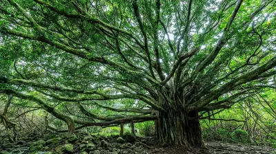 The Trees That Ask for Nothing: A Tribute to Urban Avenue Trees