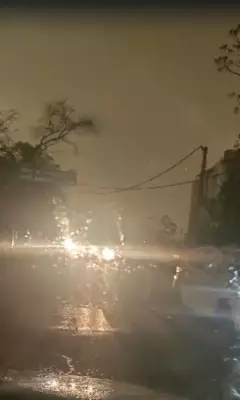 Thunderstorm Sweeps Across Haryana's Hisar After IMD Alert, Uproots Trees