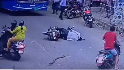 Tree Branch Falls on Biker in Bengaluru, Finance Employee Critically Injured