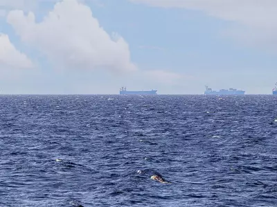 UN Agency Plans Evacuation of 11,000 Seafarers via Strait of Hormuz