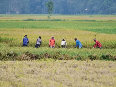 World Bank: South Asia Can Create Millions of Jobs via Agriculture