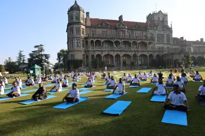 Yoga's Role in Building Mental Resilience Highlighted at IIAS Shimla