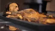 1,500-Year-Old Tattooed Mummy of Elite Moche Woman with Weapons Found in Peru
