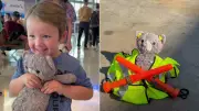 4-Year-Old Loses Teddy Bear at Airport, Airline Staff's Kind Gesture Goes Viral