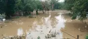 40-ft breach in Upper Bari Doab Canal floods Gurdaspur villages, MP blames neglect