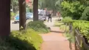 5 Killed in Germany Shooting, Two Suspects Detained: Police