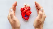 7 Cardiologist-Recommended Summer Diet Tips for a Stronger Heart