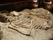 7,000-Year-Old Family Tree Reveals Neolithic Social Structure in France