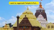 A Pilgrim's Tale: Chaos and Grace at Puri's Jagannath Temple