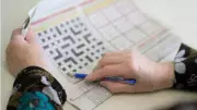 Aging Brain Can Improve: Study Challenges Memory Decline Myths