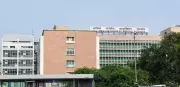 AIIMS Study: Air Pollution During Pregnancy Damages Placenta, Harms Fetal Growth
