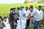 Ambazari Lake Cleanup Drive Sparks Safety, Waste Concerns in Nagpur