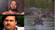 Anant Ambani offers to relocate Pablo Escobar's hippos from Colombia to India