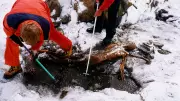 Ancient Yeast from 5,300-Year-Old Ötzi Mummy Used to Bake Sourdough Bread
