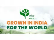 APEDA Facilitates First Export of Dried Whole Egg Powder from Odisha to Austria