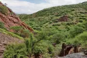 Aravalli NCZ to Stay in Regional Plan 2041, Boosting Delhi Ridge Protection