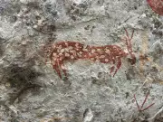 ASI Discovers 3,500-Year-Old Inscriptions in Nallamala Tiger Reserve