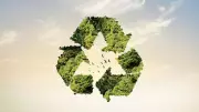 Banana Leather, Coffee Sunglasses: 5 Surprising Recycling Innovations