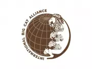 Bangladesh Joins India-led International Big Cat Alliance for Conservation