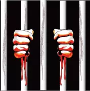 Bank Sales Officer Arrested for Online Fraud and Mobile Hacking in Narnaul