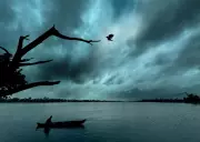 Banyan Tree Falls on Kerala School, No Injuries Reported