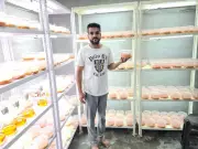 Barnala Farmer Earns Rs 8L Annually by Cultivating Rare Himalayan Cordyceps Mushroom