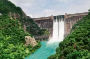 BBMB Asks Punjab, Haryana to Increase Water Withdrawal from Bhakra Dam