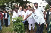 Belagavi District Plans Over 2 Lakh Saplings Under Miyawaki Model