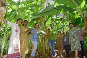 Bengaluru Community Gardens Flourish, Uniting Residents and Seniors