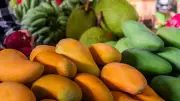 Bengaluru's 27-Day Mango and Jackfruit Mela Begins June 4