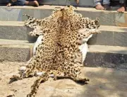 Berhampur Police Seeks Transfer of Wildlife Cases to Crime Branch Cell