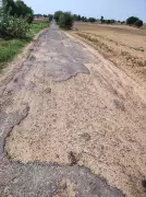 Bhiwani Rural Roads in Poor State, Activist Files Complaint with DC