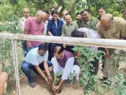 BJP launches statewide plantation drive targeting 2 lakh saplings in Himachal