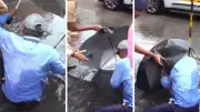 BMC Worker Falls Into Open Manhole During Mumbai Mayor's Rain Inspection