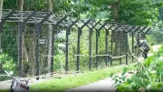BSF Deports 17 Bangladeshi Nationals from Murshidabad Border