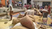 Centre Proposes Per-Person Ration for Poorest Families, Caps at 35 kg