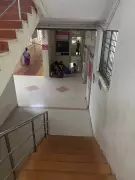 Chennai Hospital Grapples with Waste, Stray Dogs, and Poor Facilities