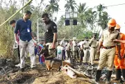 Cochin Devaswom Board to Explore Safer, Less Noisy Fireworks Displays