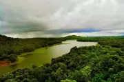 Congress Alleges 1,313 Hectares of Gujarat Forest Land Diverted