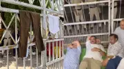 Congress Workers Hang RSS Uniform on CEO Office Gate in Bhopal Protest