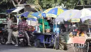 Contaminated Food and Water Cause Millions of Illnesses Annually: PAU Experts