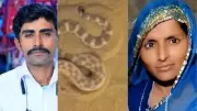Couple Killed, Son Critical in Suspected Snakebite Incident in Barmer