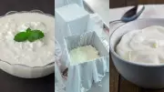 Curd vs Hung Curd vs Greek Yogurt: Difference and Protein Content Comparison