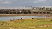 CWMA to Review Cauvery Water Situation Today, TN Seeks Balance